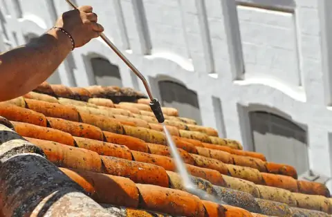 Nettoyage de toitures - Trélazé